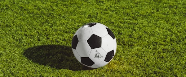 法国国家足球队训练照片